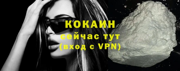 PSILOCYBIN Аркадак