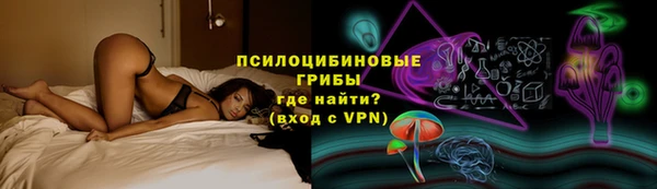 шишки Алексеевка