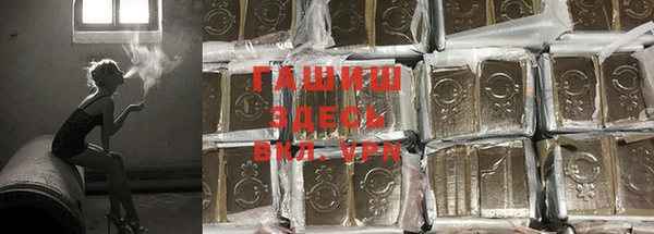 PSILOCYBIN Аркадак