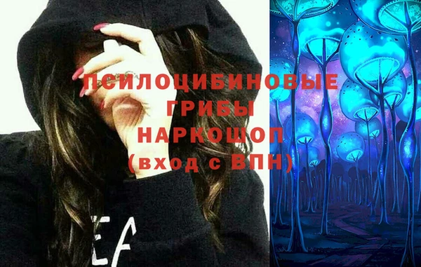 шишки Алексеевка