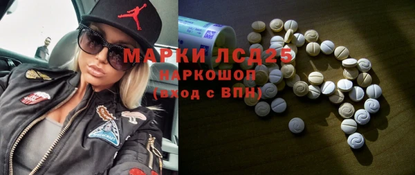 PSILOCYBIN Аркадак